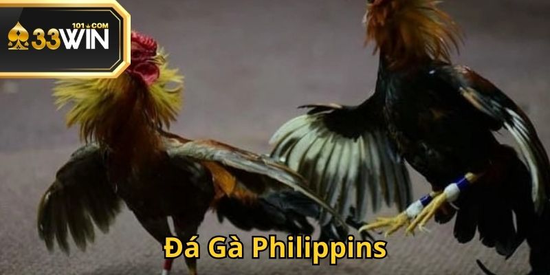 da-ga-philippins-ava