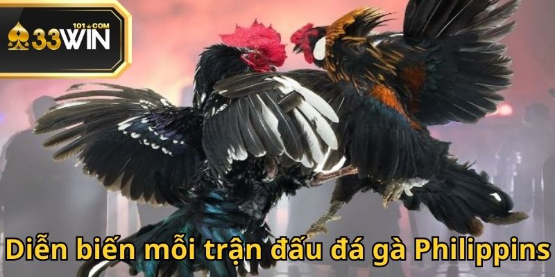 Đá gà Philippins gồm nhiều hiệp tùy vào thể lực quy định trường đấu