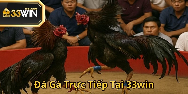 da-ga-truc-tiep-tai-33win