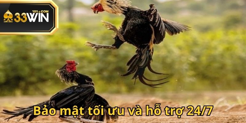 Lợi ích hấp dẫn khi trải nghiệm đá gà tại 33WIN